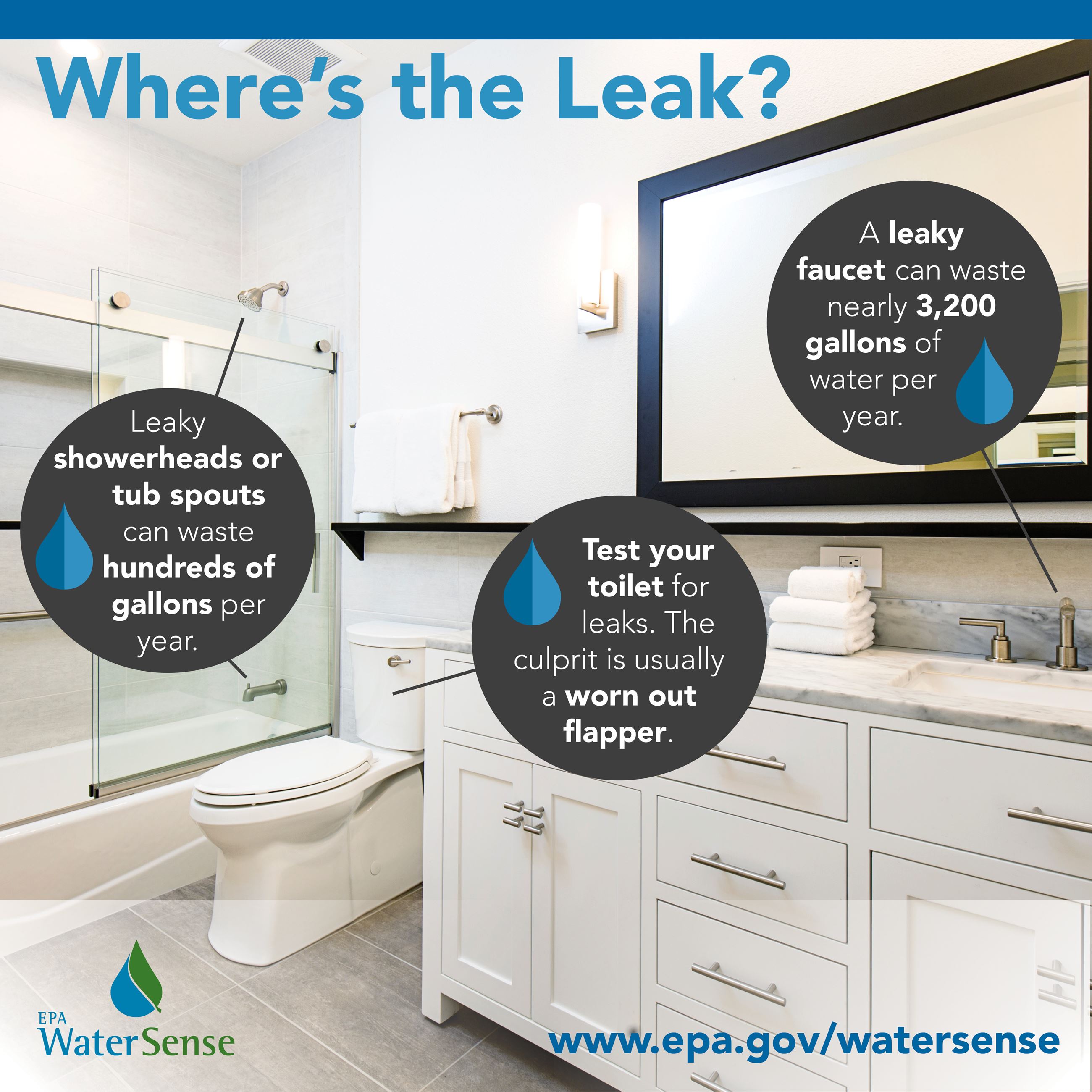 Bathroom Leaks Social Graphic_square
