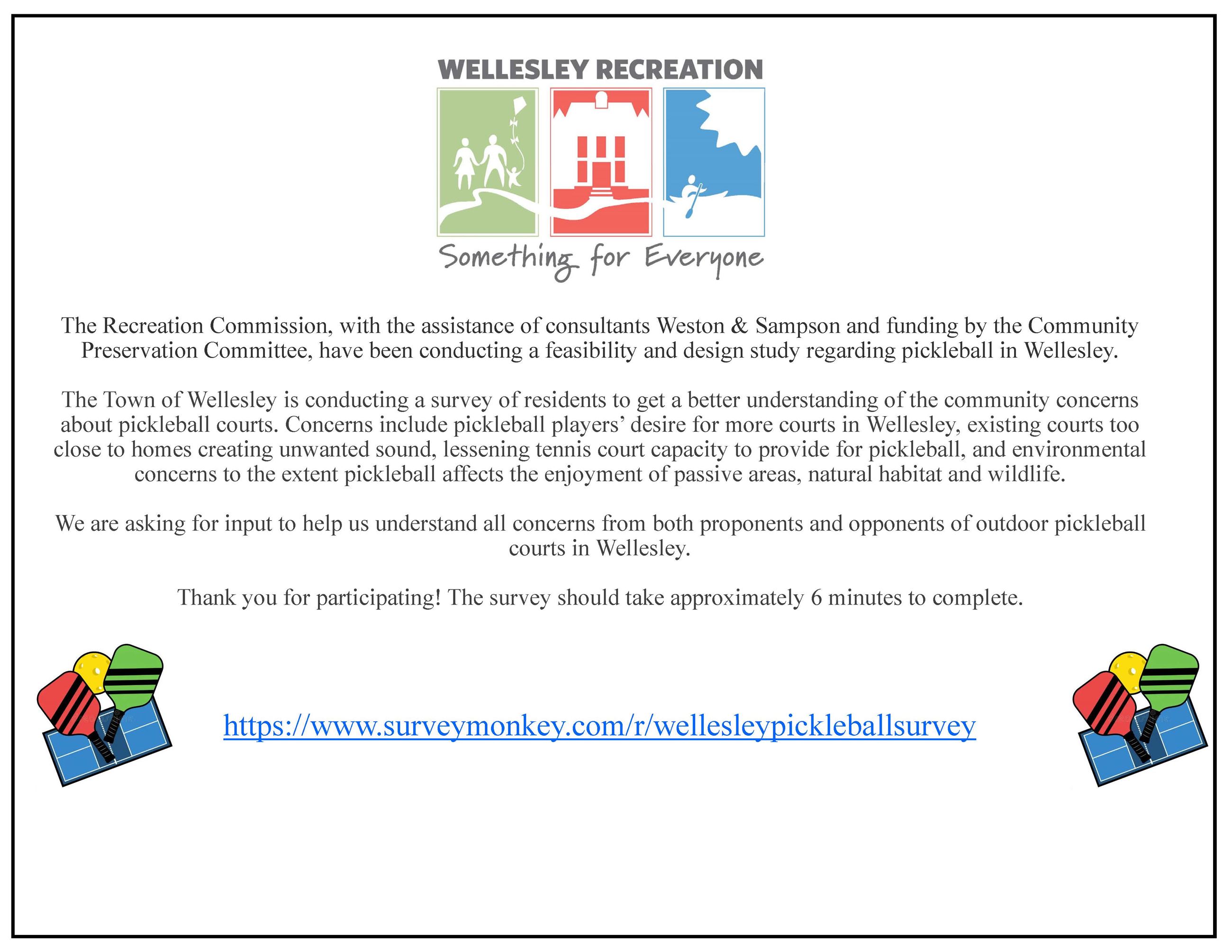 pickleball survey flyer