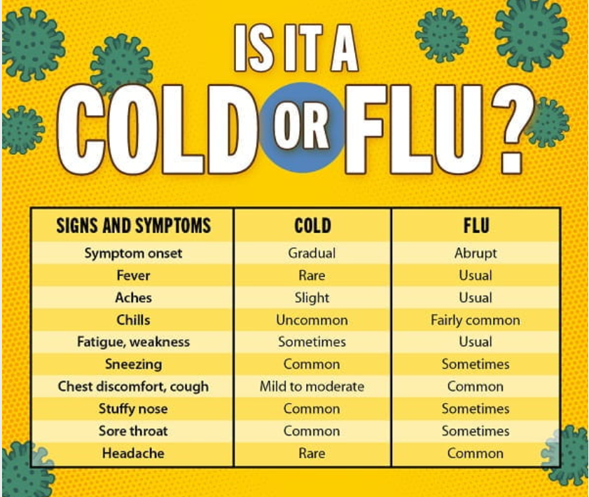 cold vs flu symptoms